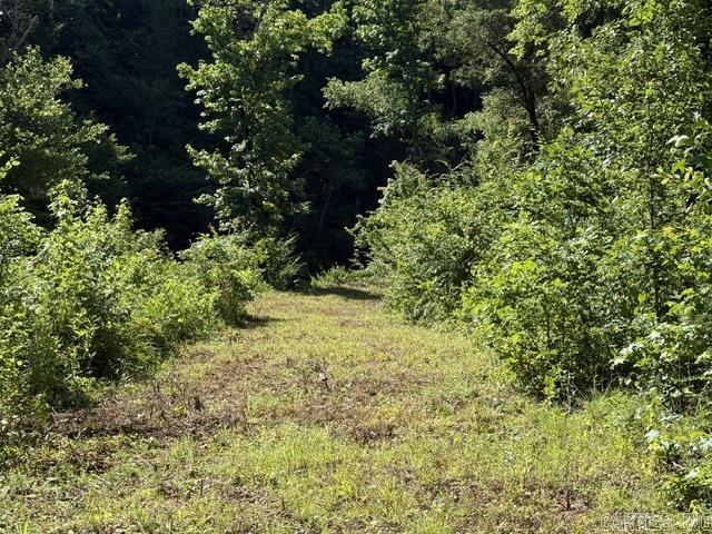 478 Cr 3173/kendall Cemetery Rd Property Photo 10