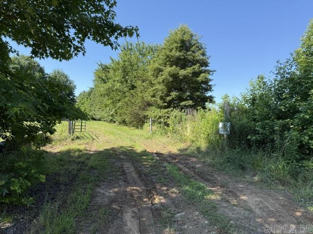 478 Cr 3173/kendall Cemetery Rd Property Photo 18