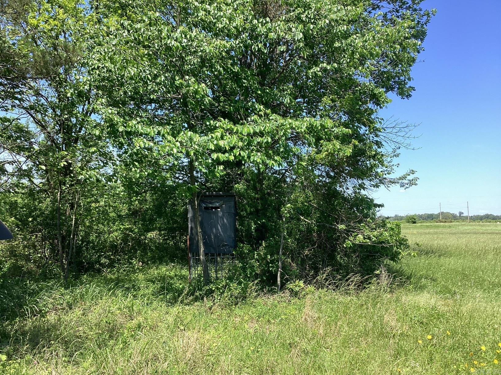 Corner Of Nevada 30 & Nevada 223 Property Photo 6
