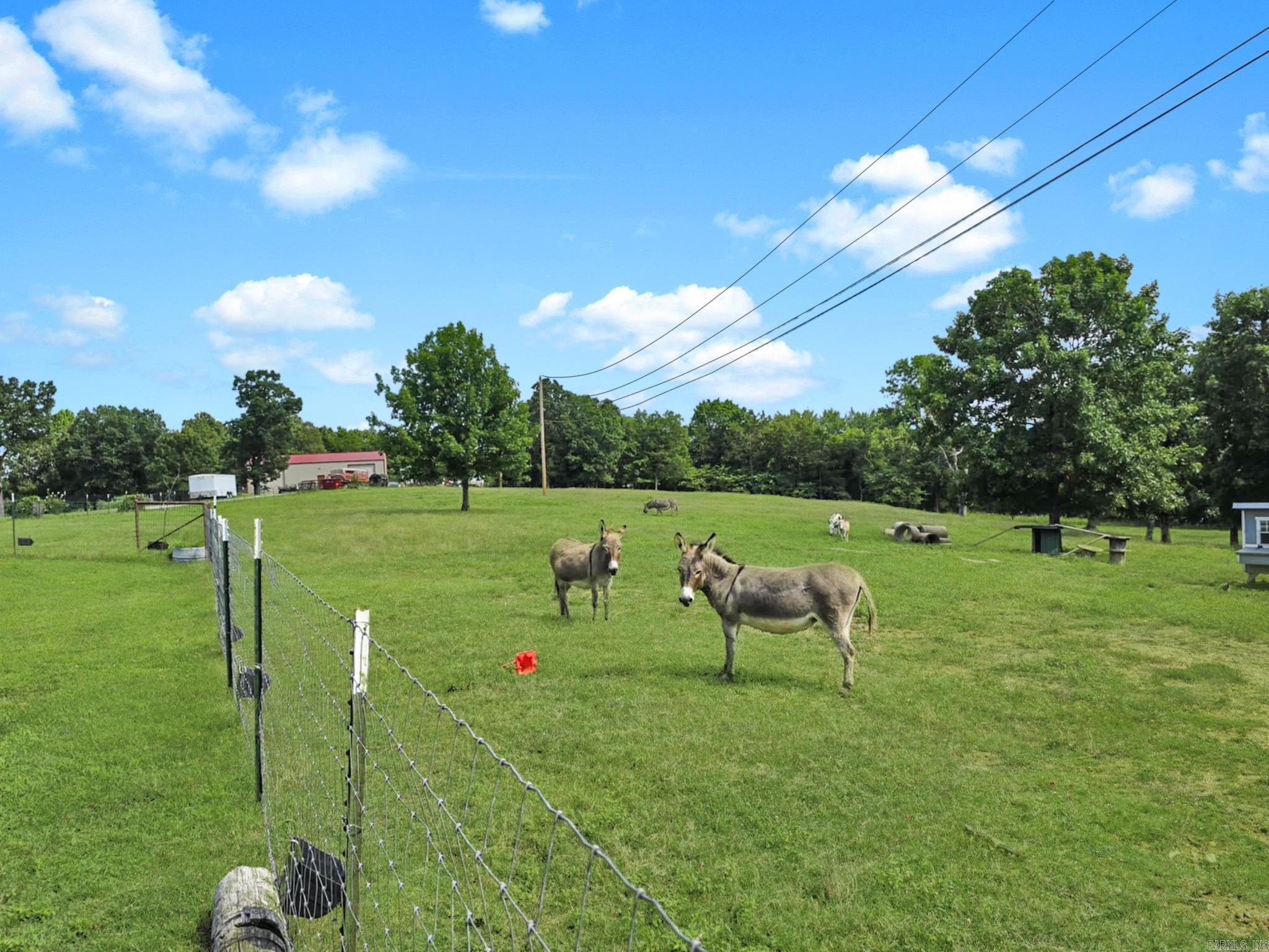 6633 Hwy 201 S Property Photo 14