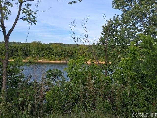 Partee Property Photo 3