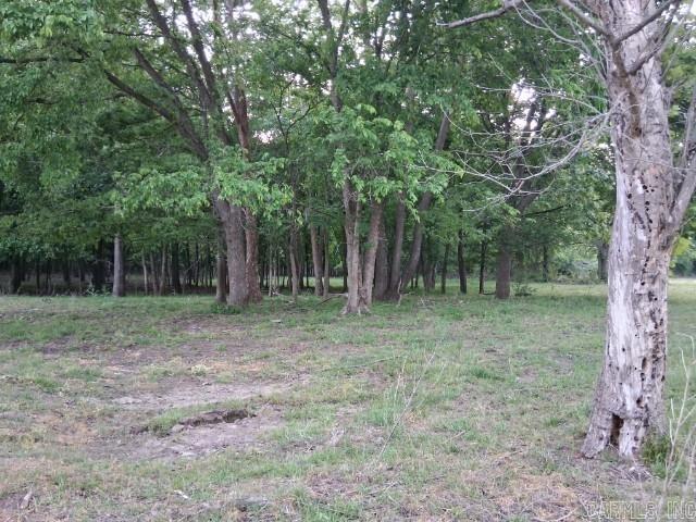 Partee Property Photo 4
