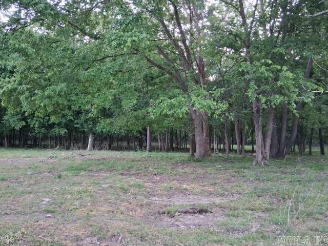 Partee Property Photo 5