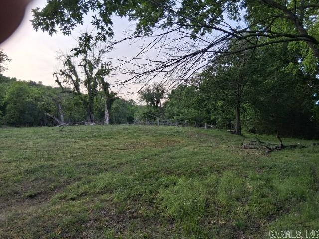 Partee Property Photo 6