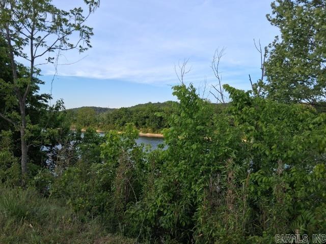 Partee Property Photo 9