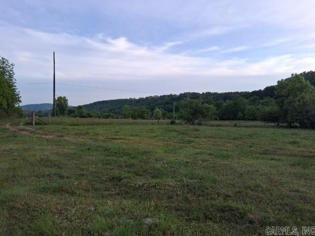 Partee Property Photo 11
