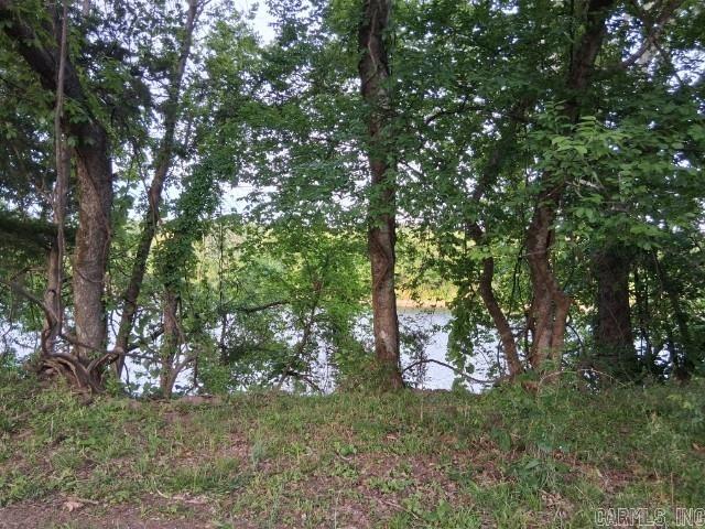 Partee Property Photo 13