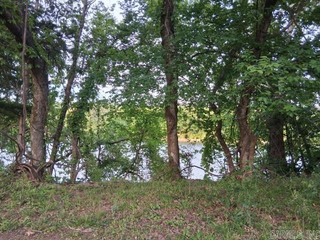 Partee Property Photo 14