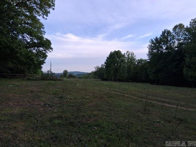 Partee Property Photo 15