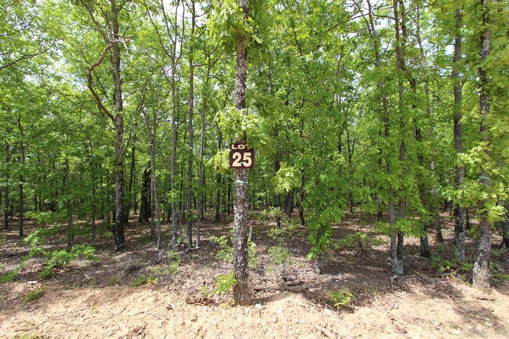 74 7 Lakes Ranch Blvd Property Photo 4