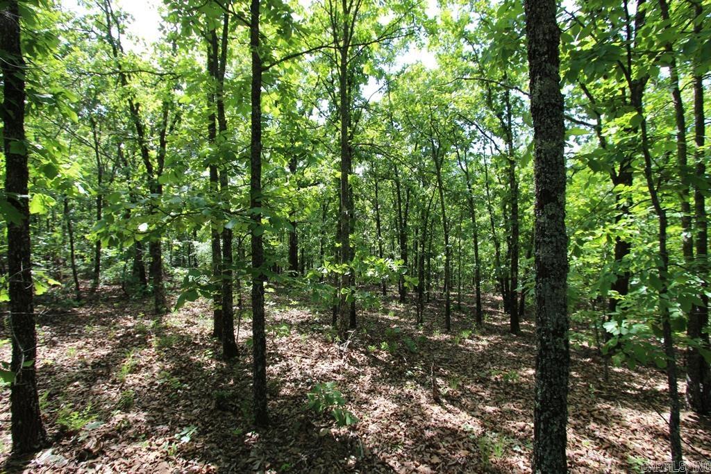 74 7 Lakes Ranch Blvd Property Photo 8