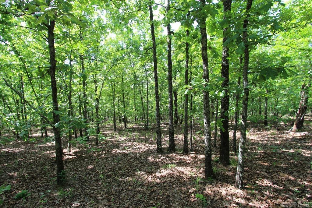 74 7 Lakes Ranch Blvd Property Photo 9