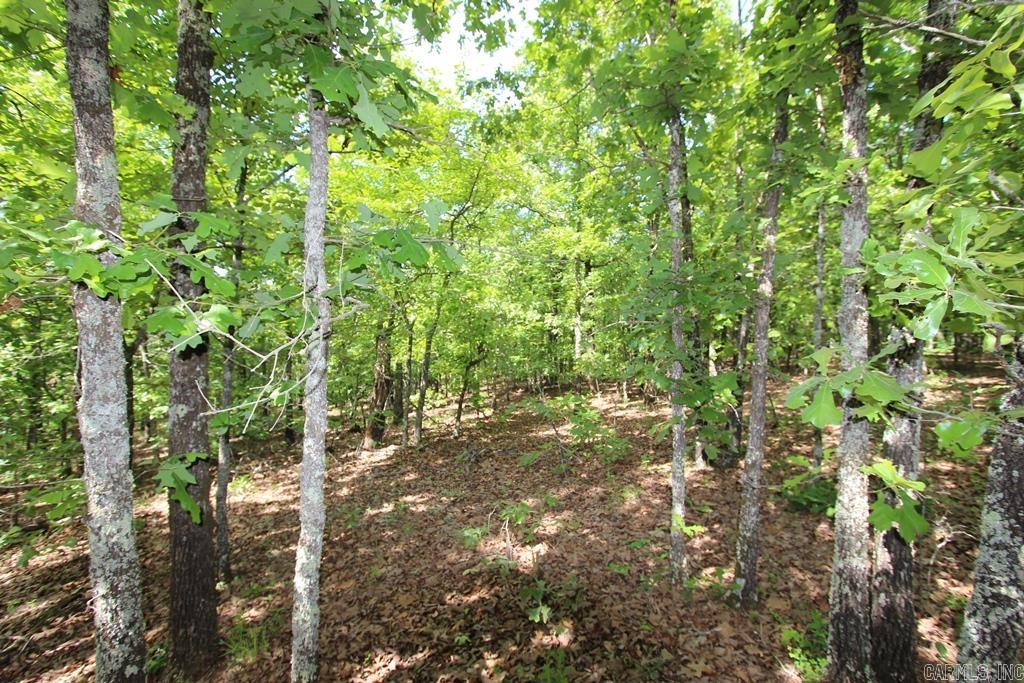 74 7 Lakes Ranch Blvd Property Photo 10