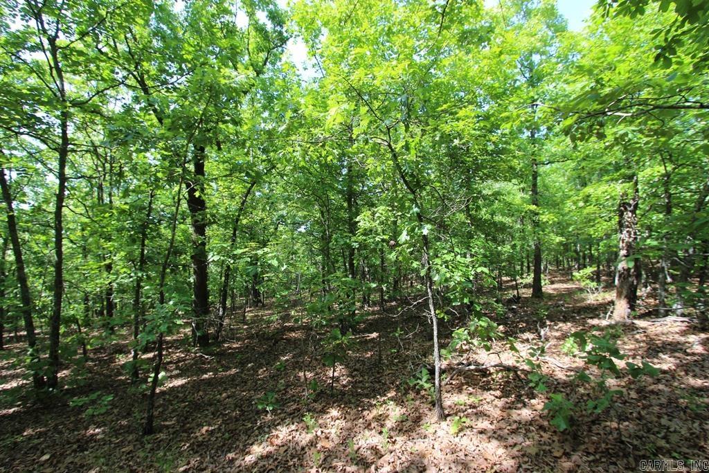 74 7 Lakes Ranch Blvd Property Photo 12
