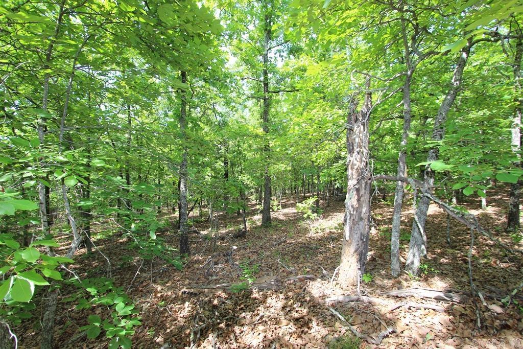 74 7 Lakes Ranch Blvd Property Photo 13