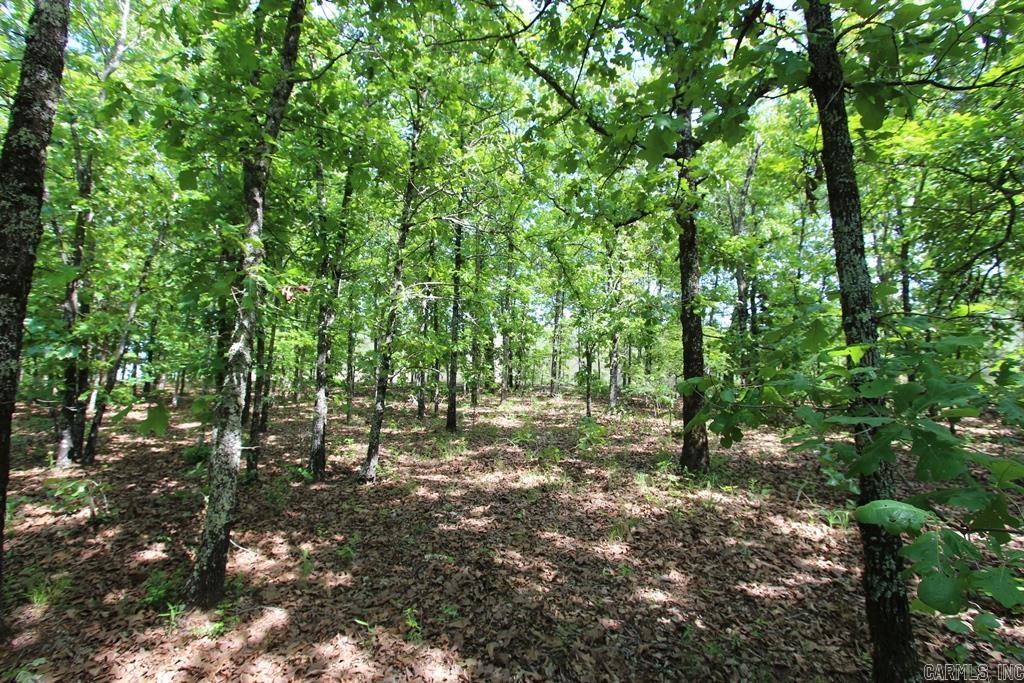 74 7 Lakes Ranch Blvd Property Photo 14