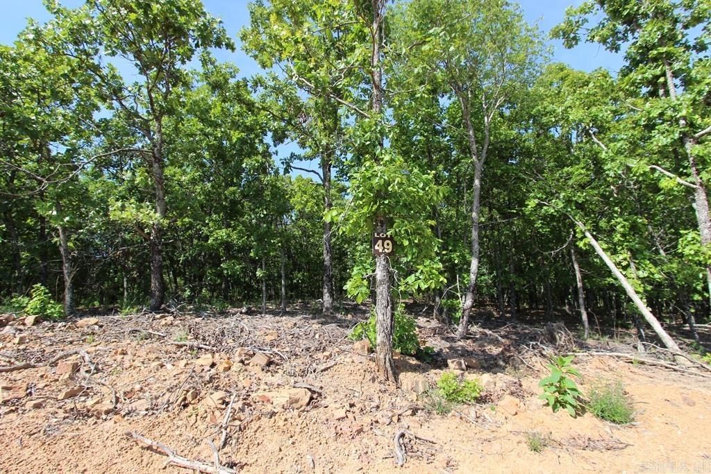 10 Sierra Sunset Cove Property Photo 4