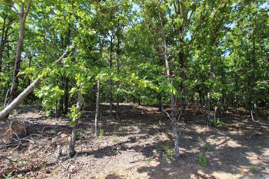 10 Sierra Sunset Cove Property Photo 8