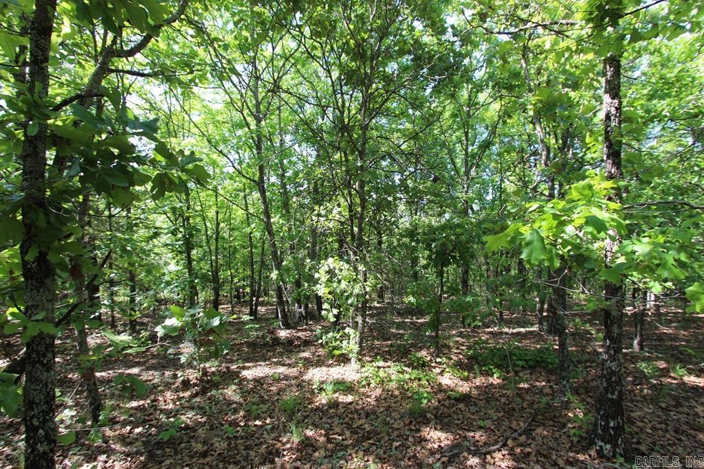 10 Sierra Sunset Cove Property Photo 9