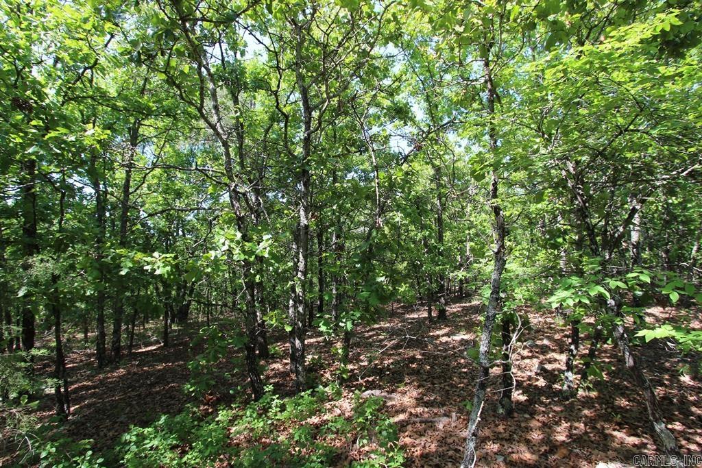 10 Sierra Sunset Cove Property Photo 10