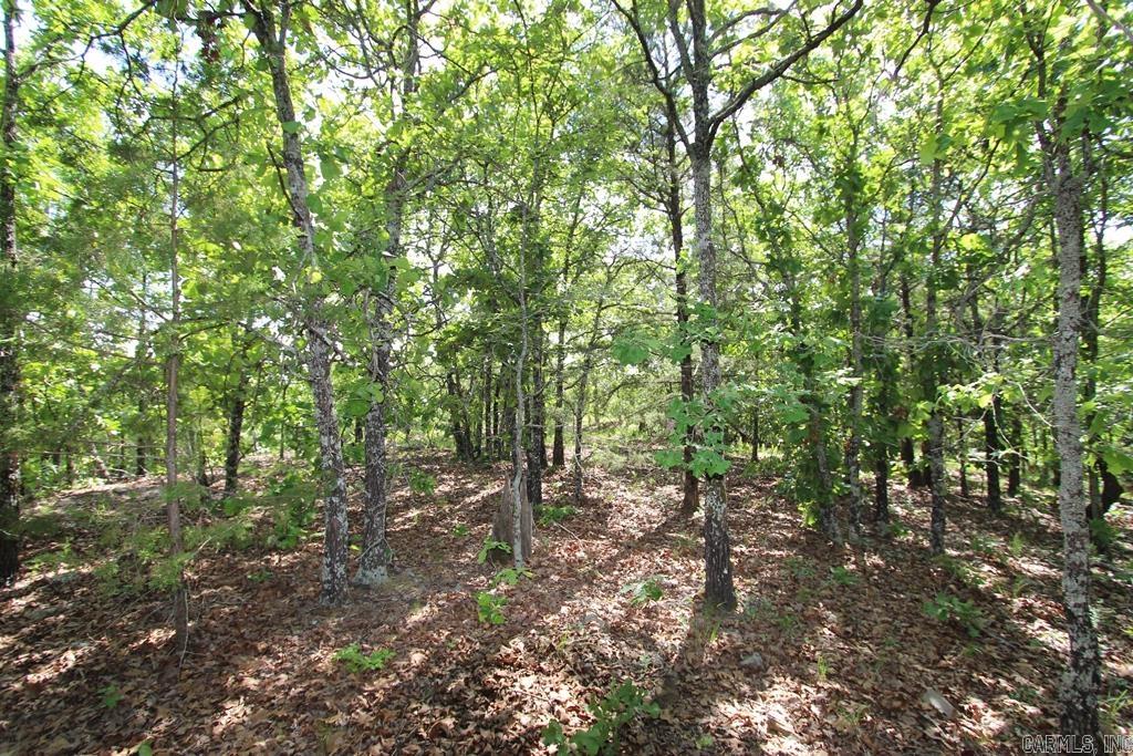 10 Sierra Sunset Cove Property Photo 11