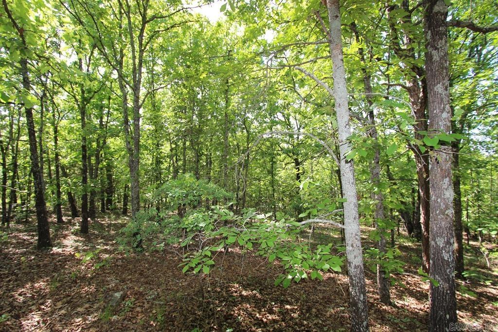 10 Sierra Sunset Cove Property Photo 12