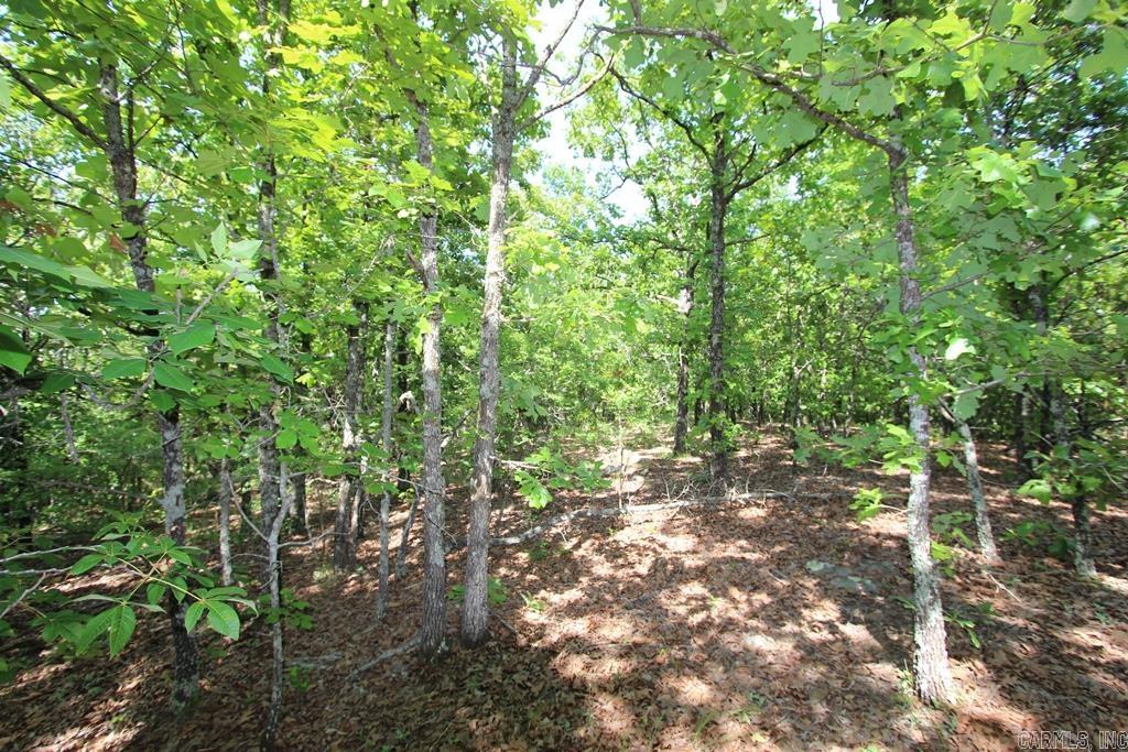 10 Sierra Sunset Cove Property Photo 14