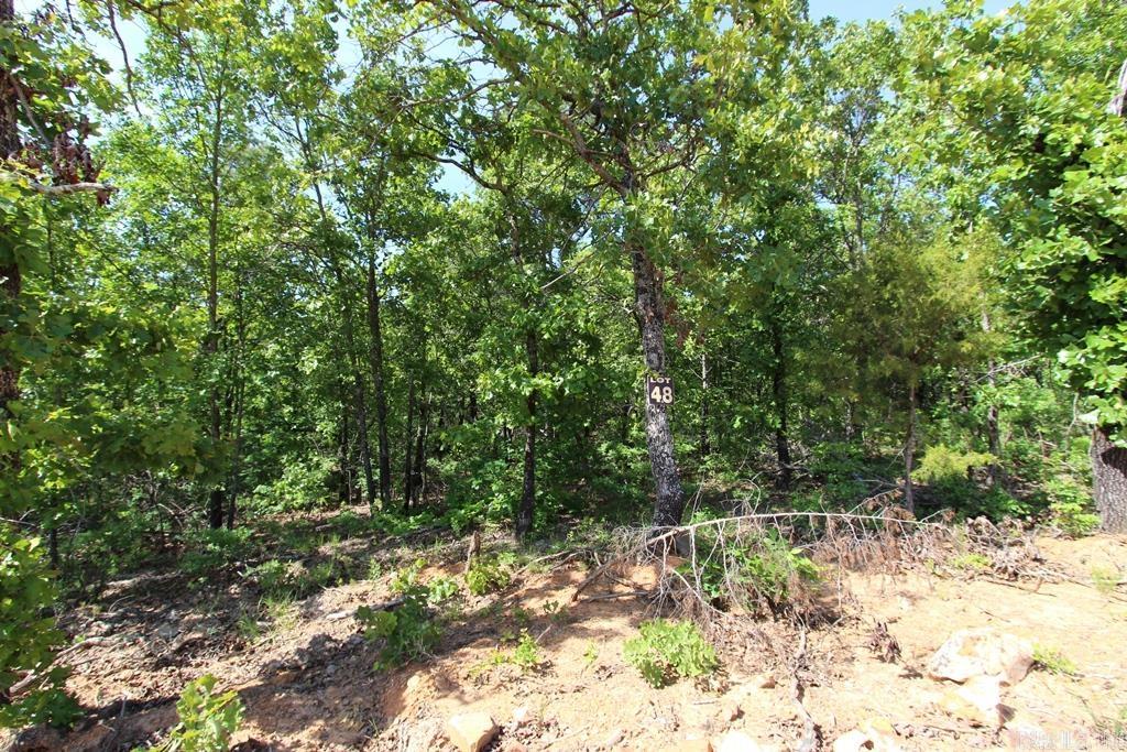 14 Sierra Sunset Cove Property Photo 4
