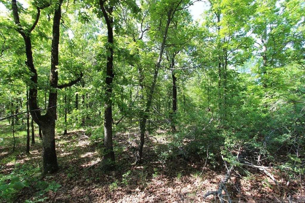 14 Sierra Sunset Cove Property Photo 12