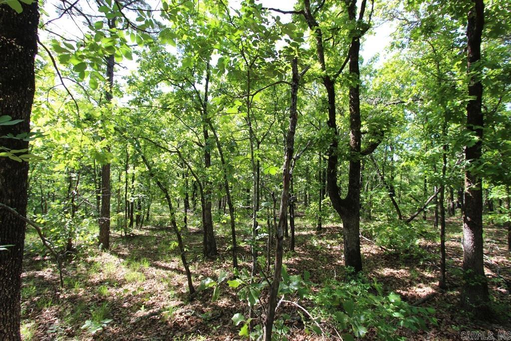 14 Sierra Sunset Cove Property Photo 13