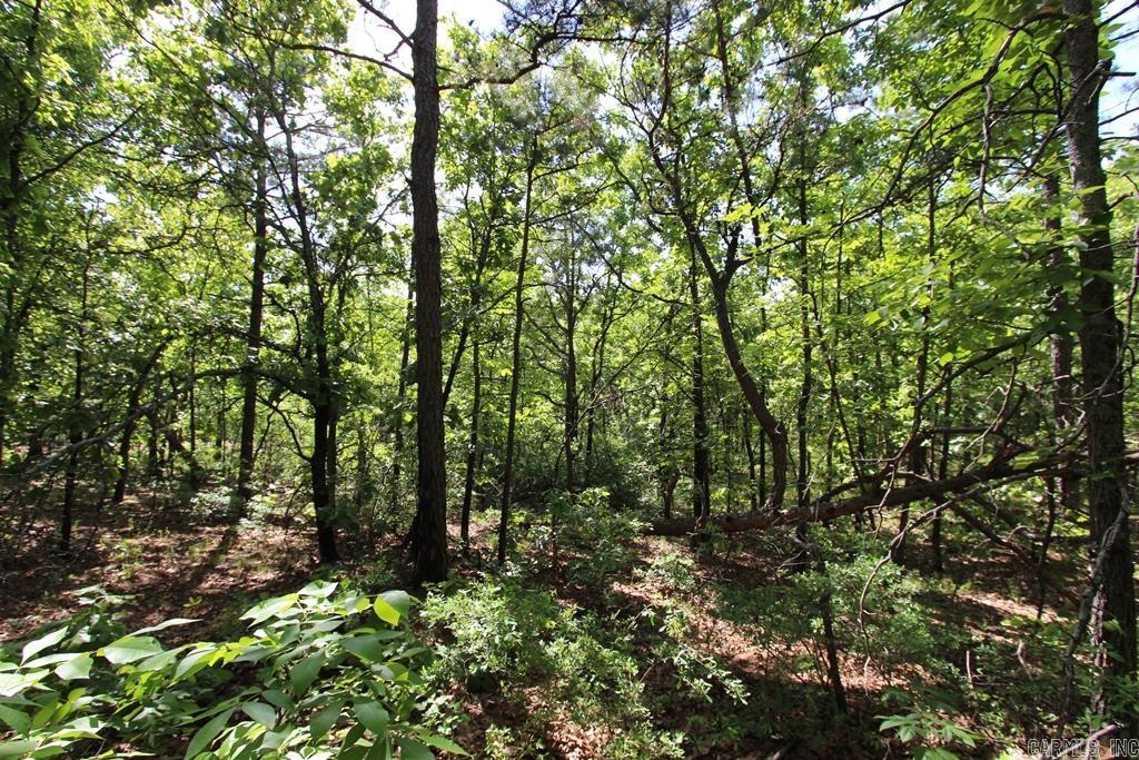 14 Sierra Sunset Cove Property Photo 14