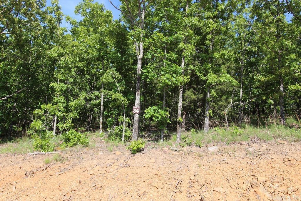 53 Sierra Sunset Cove Property Photo 4