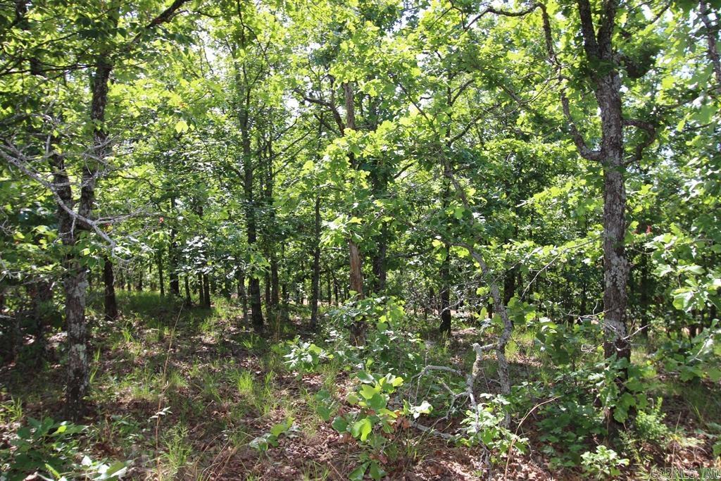 53 Sierra Sunset Cove Property Photo 7