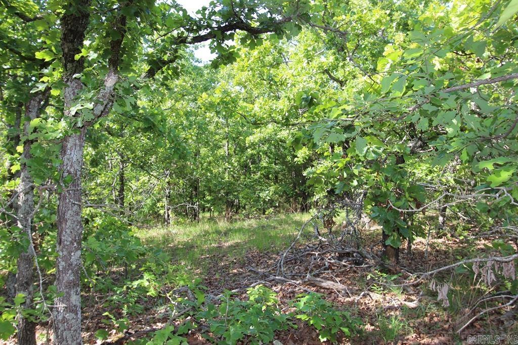 53 Sierra Sunset Cove Property Photo 8