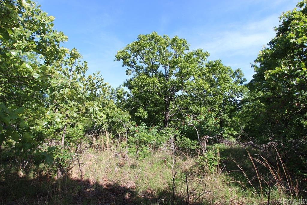 53 Sierra Sunset Cove Property Photo 9
