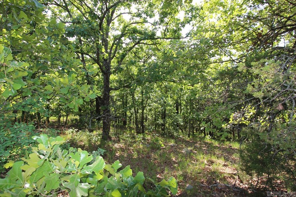 53 Sierra Sunset Cove Property Photo 11