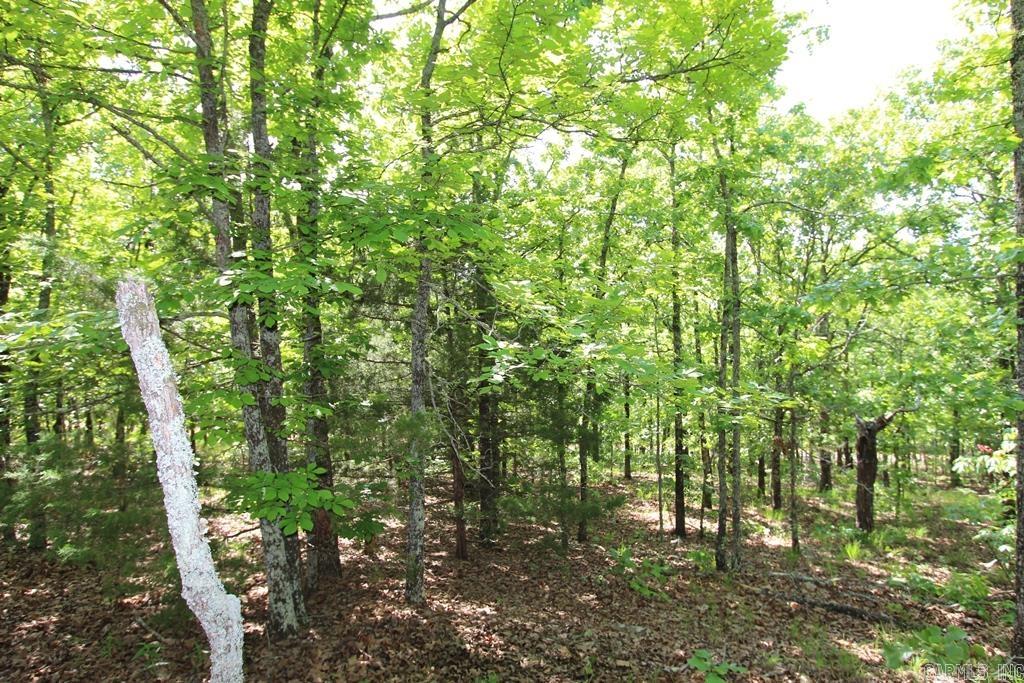 53 Sierra Sunset Cove Property Photo 12