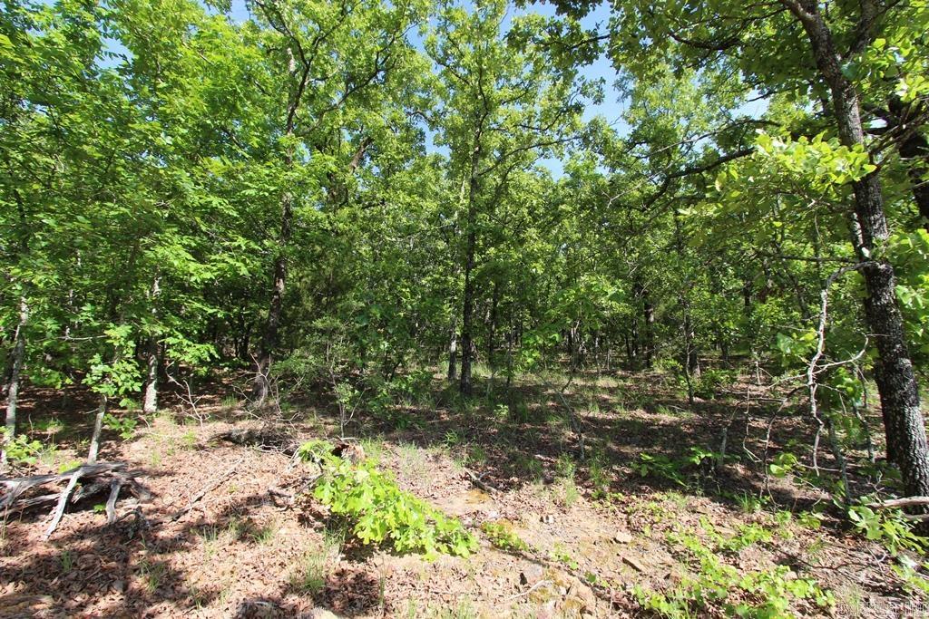 53 Sierra Sunset Cove Property Photo 13