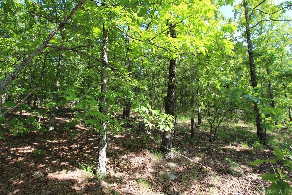 53 Sierra Sunset Cove Property Photo 14