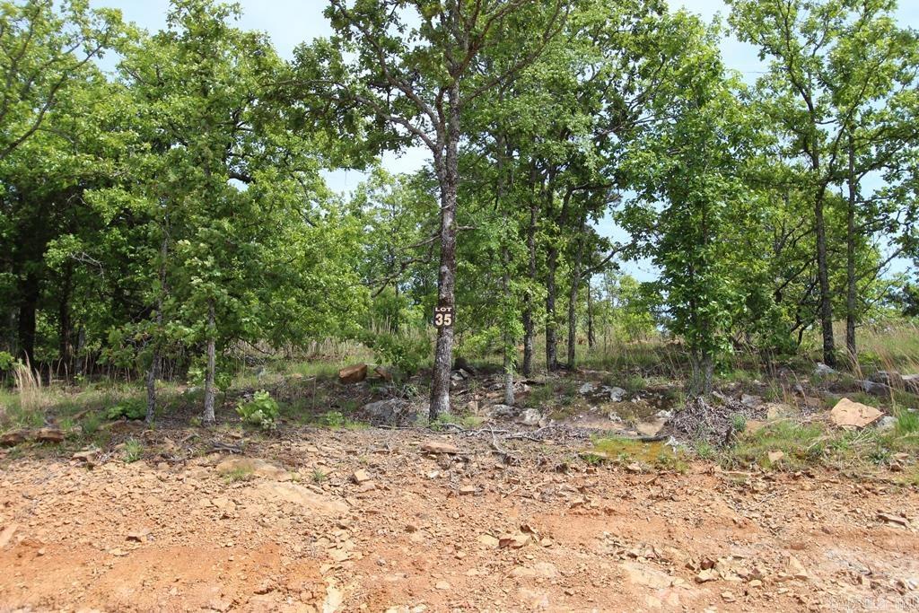 57 Sierra Sunset Cove Property Photo 4