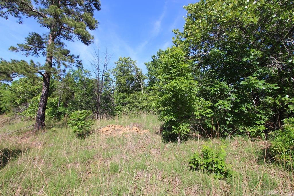 57 Sierra Sunset Cove Property Photo 8