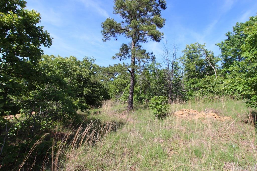57 Sierra Sunset Cove Property Photo 9