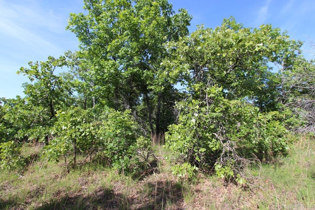 57 Sierra Sunset Cove Property Photo 10