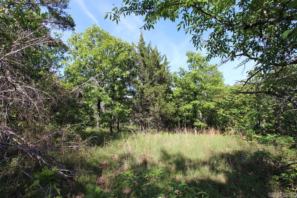 57 Sierra Sunset Cove Property Photo 11