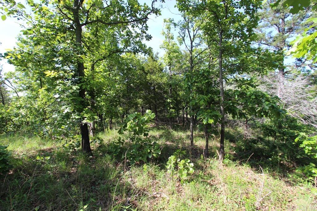 57 Sierra Sunset Cove Property Photo 12