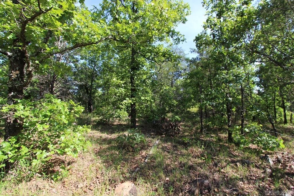 57 Sierra Sunset Cove Property Photo 13