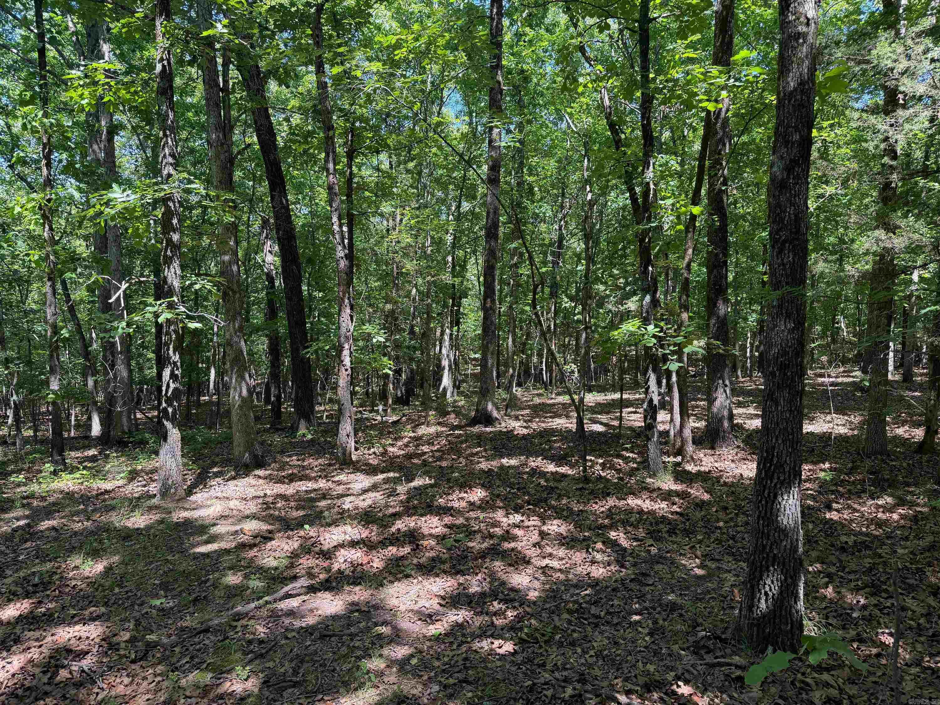 Overlook Dr Property Photo 1