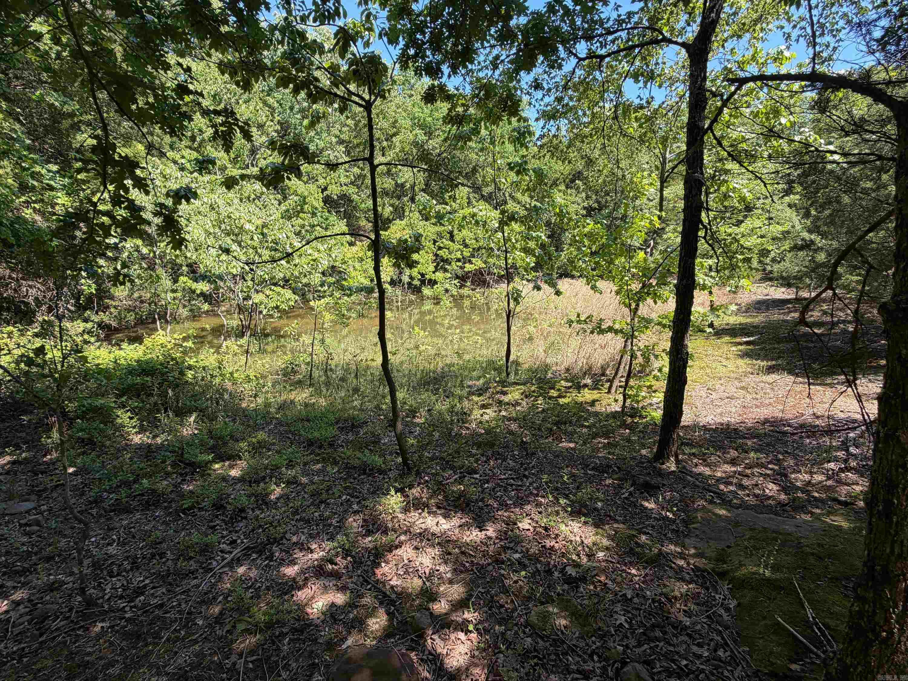 Overlook Dr Property Photo 5