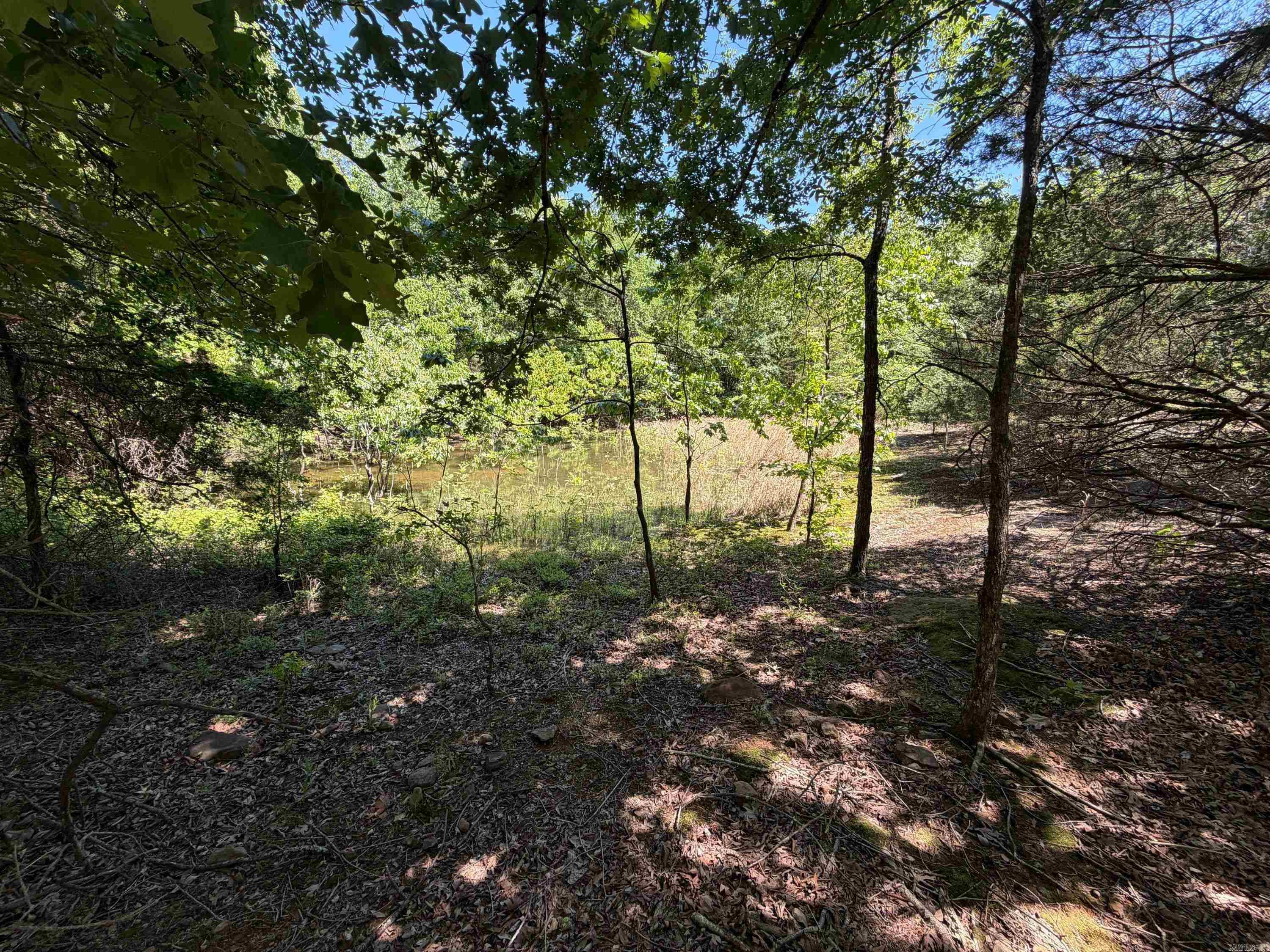 Overlook Dr Property Photo 6