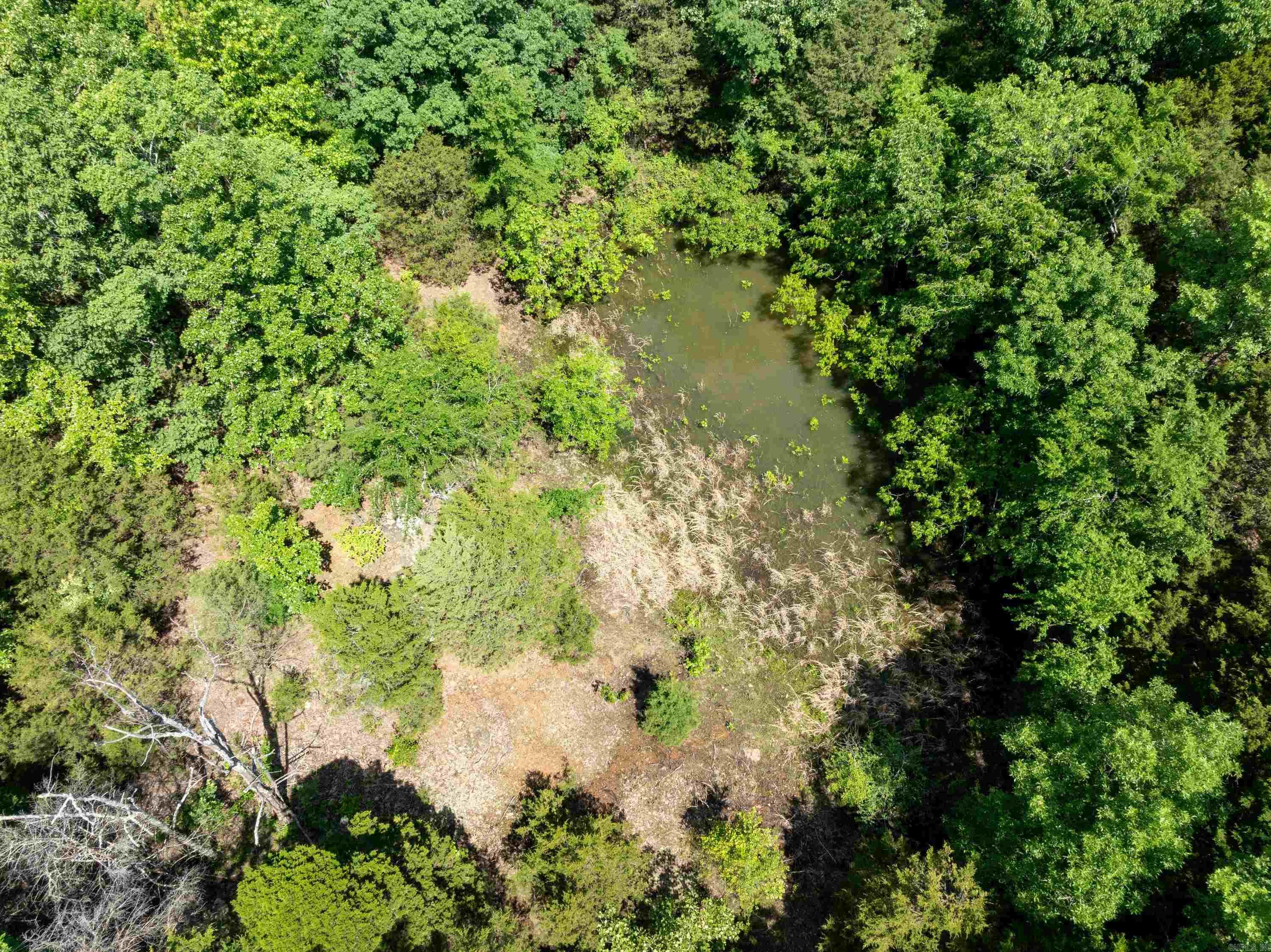 Overlook Dr Property Photo 7